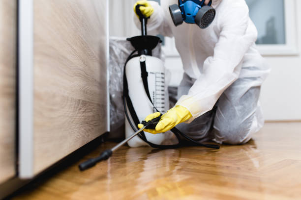 Best Wasp Removal Services  in Newstle, CA