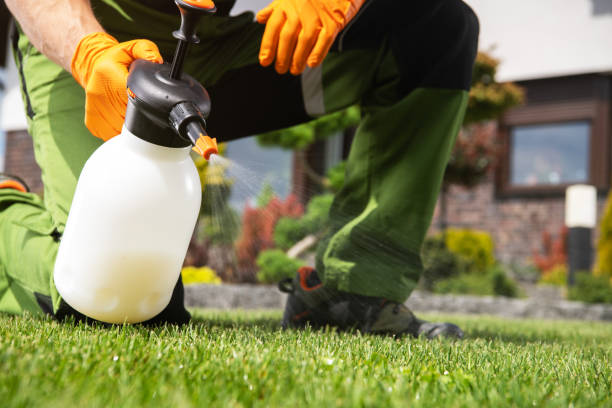 Best Pest Control Near Me  in Newstle, CA