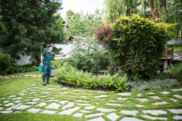 Best Best Pest Control Near Me  in Newstle, CA
