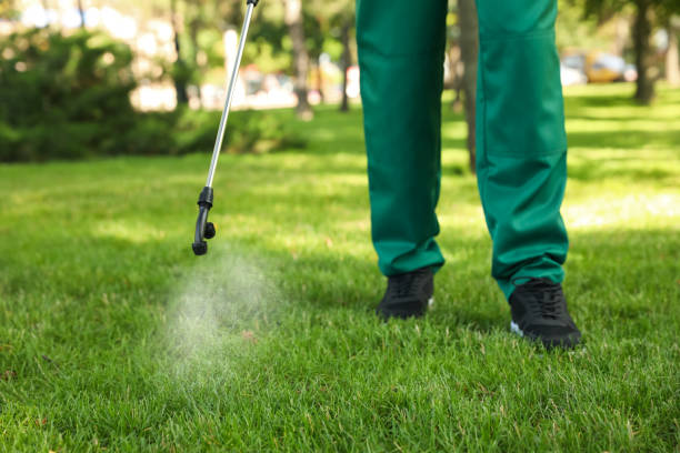 Reliable Newcastle, CA Pest Control Solutions