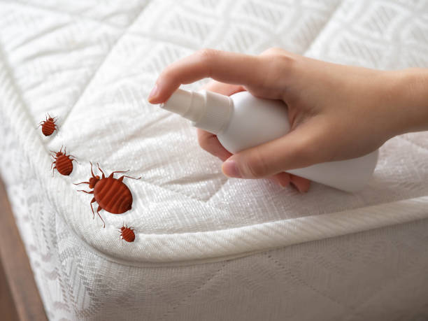 Best Commercial Pest Control Services  in Newstle, CA